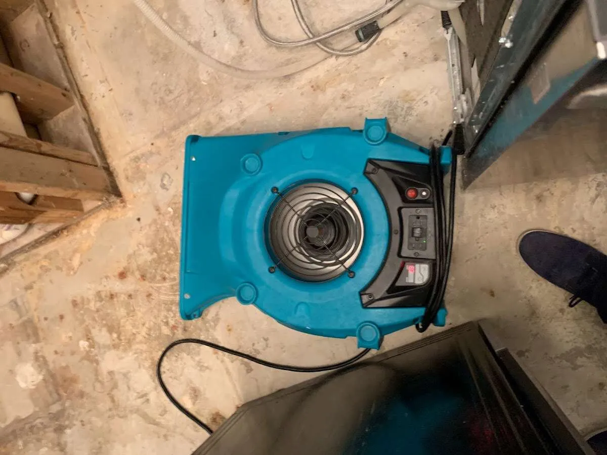 Air mover drying equipment for Mold Remediation & Removal in Lopatcong