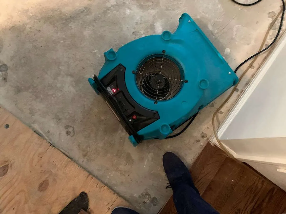 Air mover drying subfloor during Leak Detection & Repair in Lopatcong